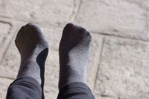 關(guān)于蚊子的5個(gè)冷知識,臭襪子居然會讓其失去理智